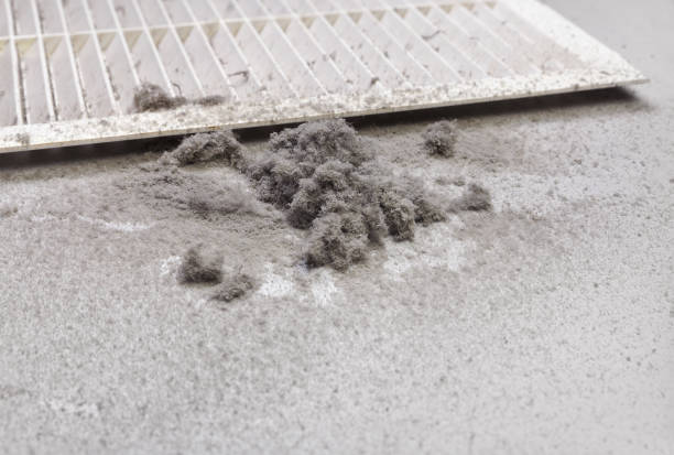 Best Commercial Air Duct Cleaning  in Hutchins, TX