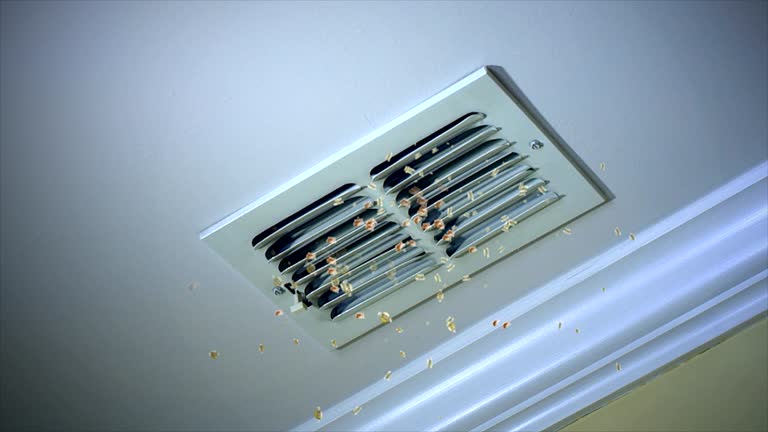 Best HVAC Air Duct Cleaning  in Hutchins, TX